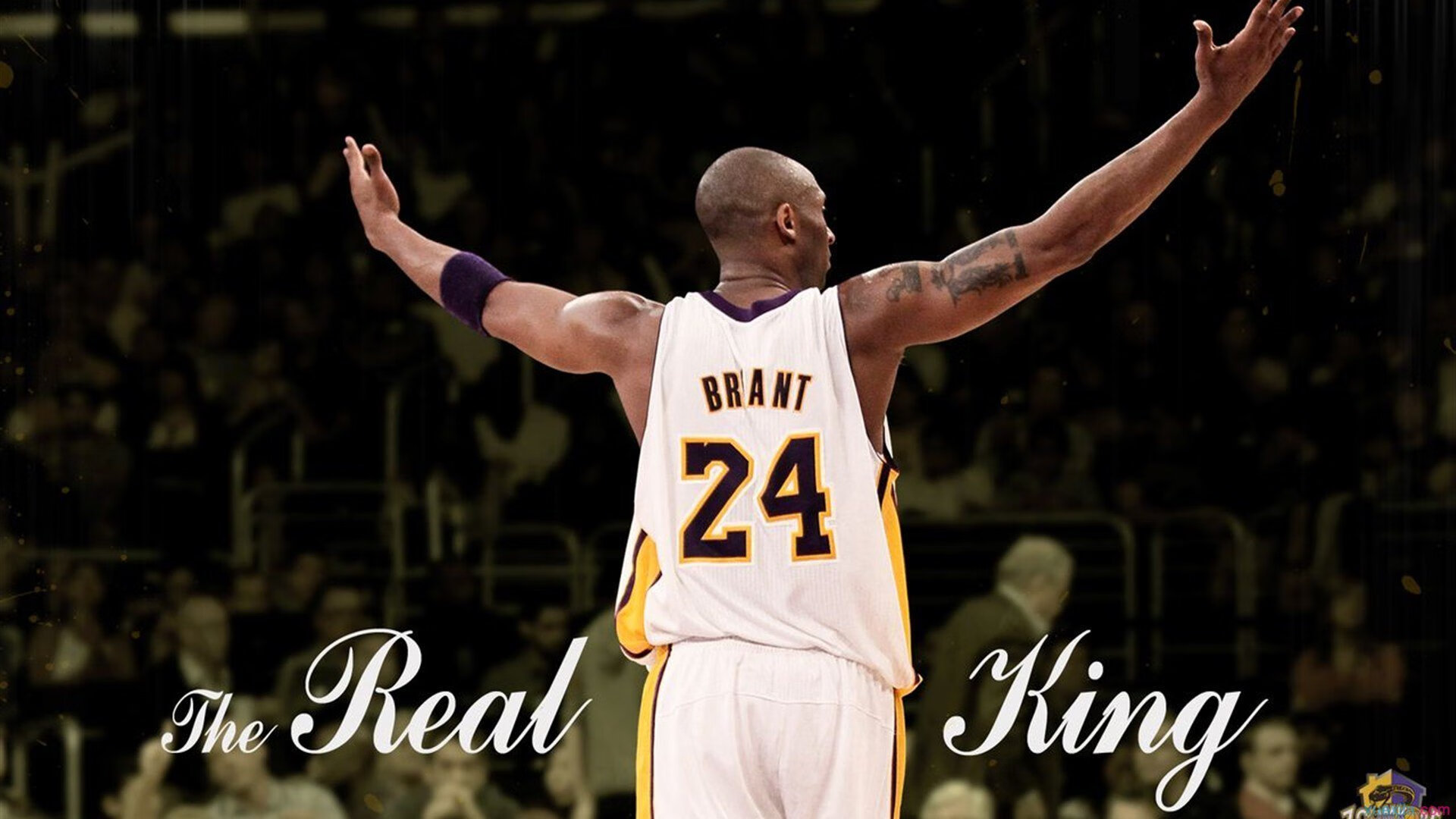 NBA球队阵容深度分析报告，nba队伍阵容